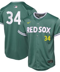 David Ortiz Boston Red Sox Nike Youth 2025 City Connect Limited Retired Player Jersey - Green