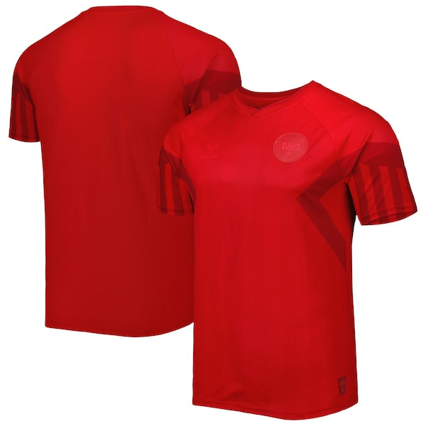 Denmark National Team 2022/23 Home Replica Jersey - Red