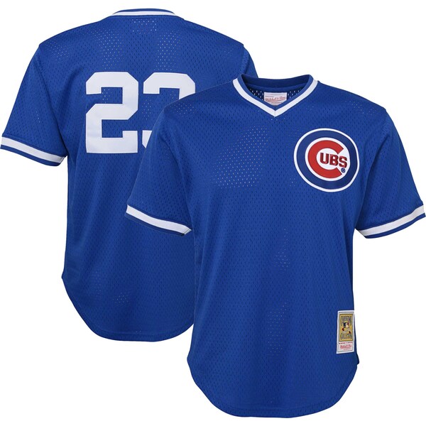Ryne Sandberg Chicago Cubs Youth Cooperstown Collection?Mesh Batting Practice Jersey - Royal