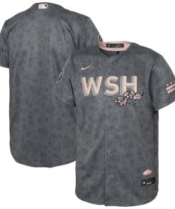 Washington Nationals Nike Youth 2022 City Connect Replica Jersey - Gray