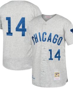 Ernie Banks Chicago Cubs Gray Away 1969 Authentic Jersey - Gray