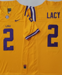 Kyren Lacy NCAA Clemson Tigers Nike Vapor Limited Jersey