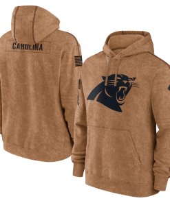 Carolina Panthers Men's Nike Brown 2023 Salute To Service Club Pullover Hoodie