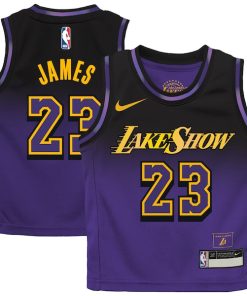 LeBron James Los Angeles Lakers Nike Toddler 2024/25 Swingman Player Jersey - City Edition - Purple