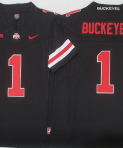 BUCKEYES NCAA Ohio State Buckeyes Nike Vapor Limited Jersey