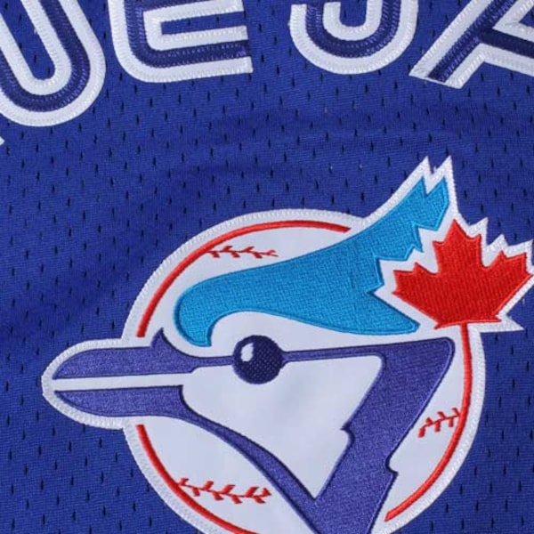 Joe Carter Toronto Blue Jays 1993 Authentic Cooperstown Collection Mesh Batting Practice Jersey - Royal - Image 4
