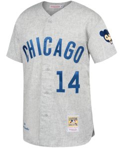 Alternative view of Ernie Banks Chicago Cubs Gray Away 1969 Authentic Jersey - Gray