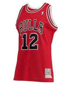 Alternative view of Michael Jordan Chicago Bulls 1989/90 Hardwood Classics Authentic Jersey - Red
