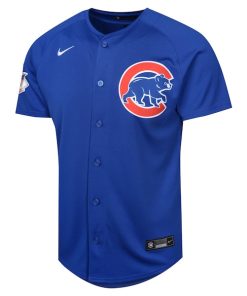 Alternative view of Dansby Swanson Chicago Cubs Nike Youth Alternate Limited Player Jersey?¨C Royal