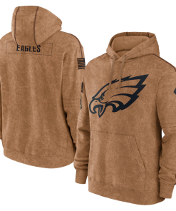 Philadelphia Eagles Men's Nike Brown 2023 Salute To Service Club Pullover Hoodie