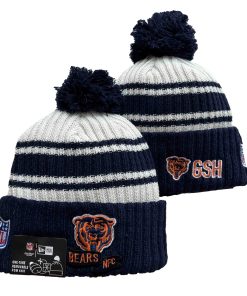 CHICAGO BEARS KNIT HAT