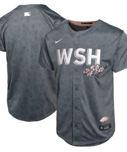 Washington Nationals Nike Youth City Connect Limited Jersey - Charcoal