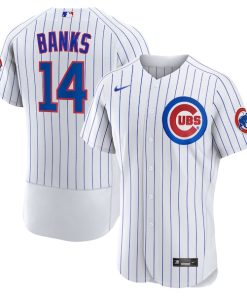 Ernie Banks Chicago Cubs Nike Home Authentic Retired Player Jersey - White