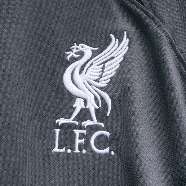 Liverpool Nike 2022/23 Replica Goalkeeper Jersey - Gray - Image 5
