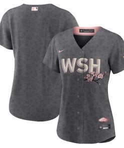 Washington Nationals Nike Women's City Connect Replica Team Jersey - Gray